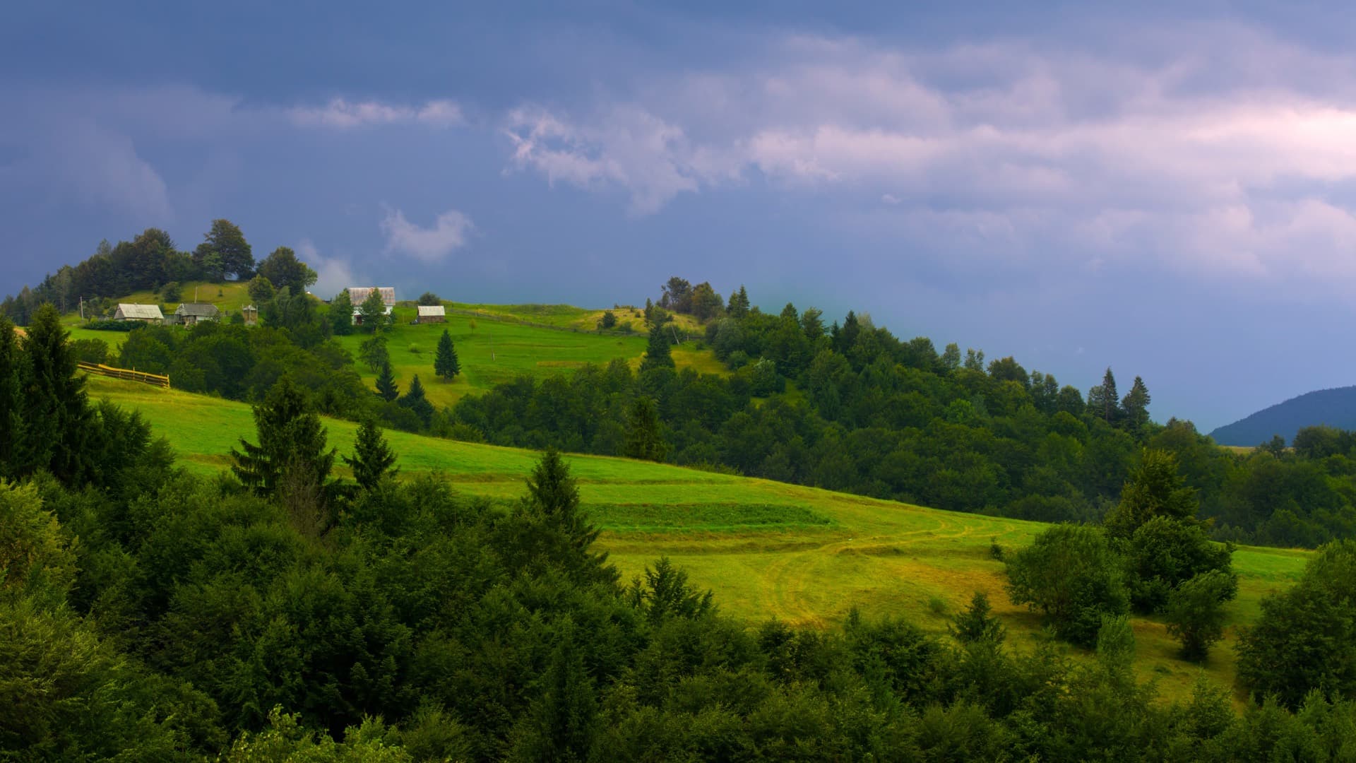 Карпатські пагорби біля Яблуниці
